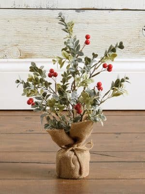 Small holiday eucalyptus tree with red berries styled against a wood floor and white baseboard