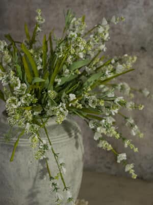 Cream Wild Flower & Grass Bush