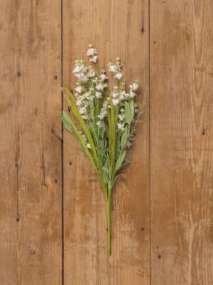 Cream Wild Flower & Grass Bush stem on a wood background showing small cream flowers and long green grasses.