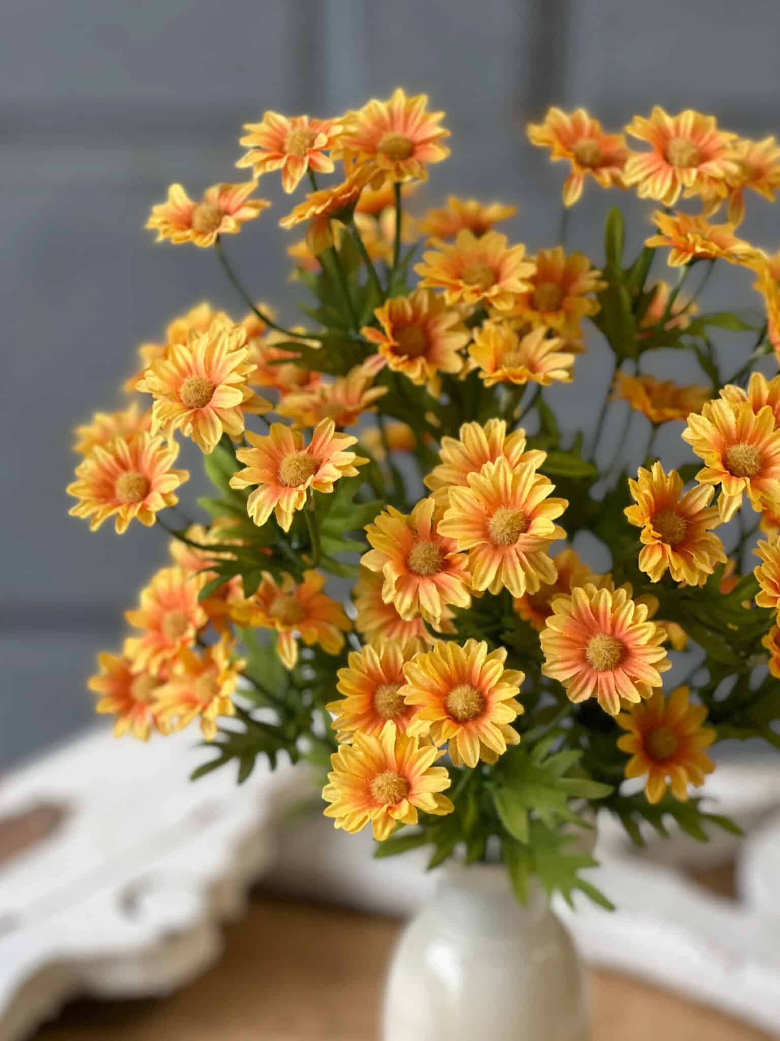Close-up of the Golden Marigold Daisy Bush featuring layered petals and textured centers.