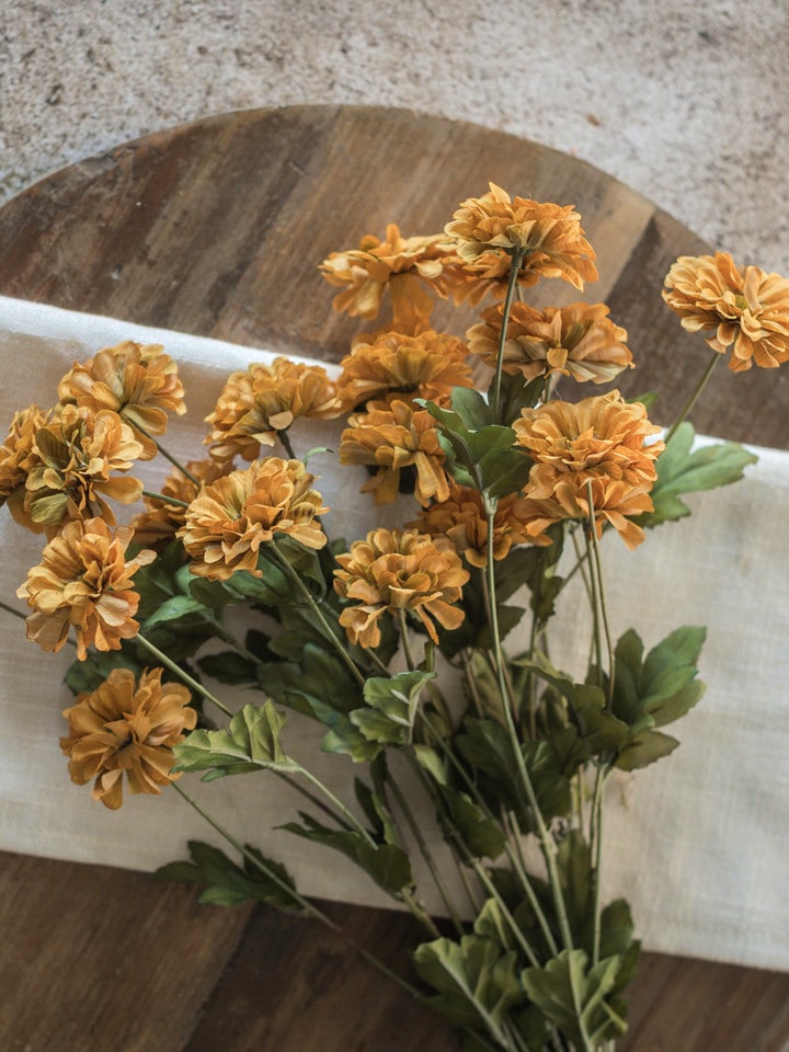 Old Gold Zinnia Bush laying on a wooden table with layered golden blooms and textured green leaves.