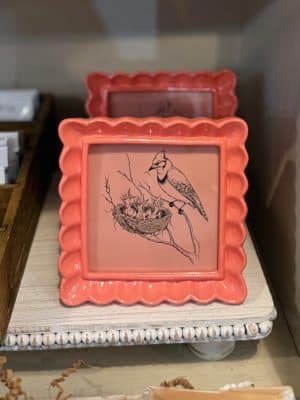 Coral-colored scalloped resin frame holding a vintage bird illustration, styled on a light wood shelf.