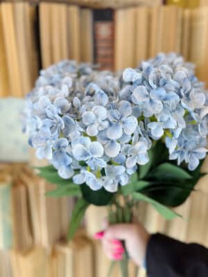 Bundle of light blue hydrangea stems with full clustered blooms and lush green leaves.