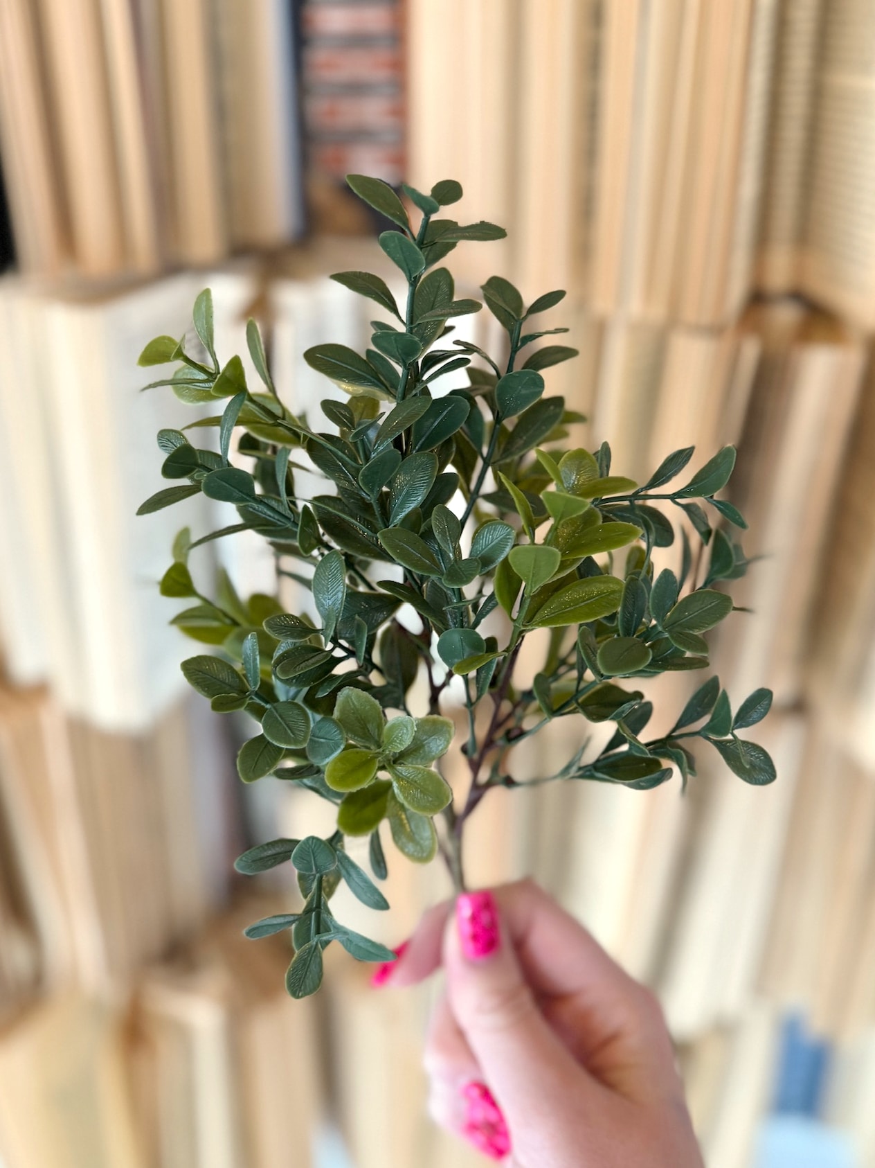 Close view of a boxwood floral pick showing layered green leaves and natural-looking stems.