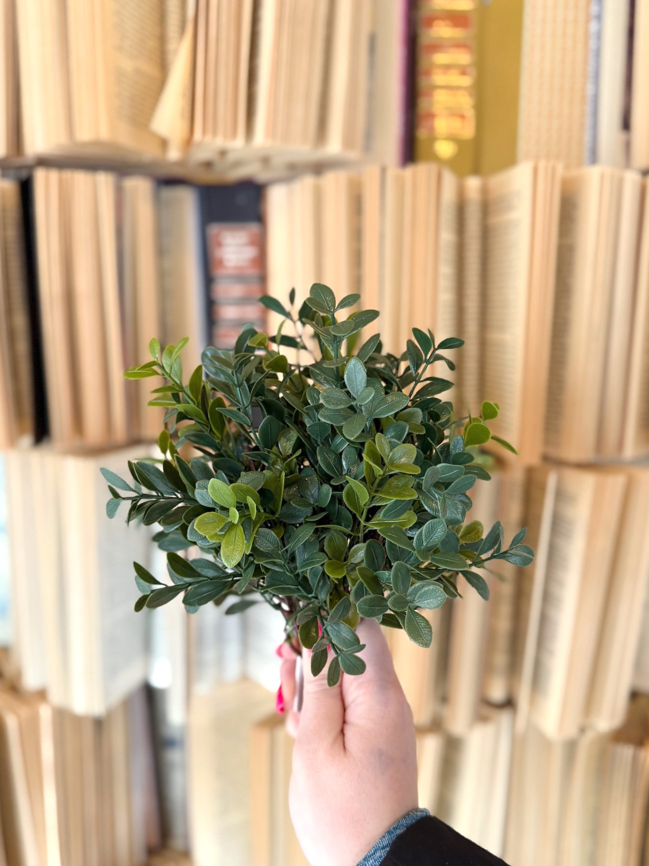 Bundle of boxwood floral picks with realistic green leaves held in hand against stacked vintage books.