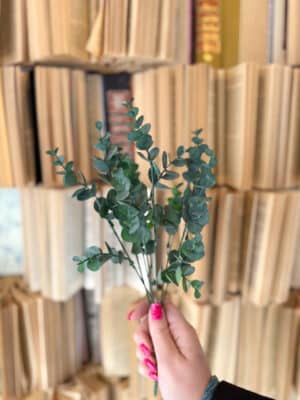 Single faux eucalyptus leaf spray with dusty green rounded leaves and realistic branching stems held in hand.