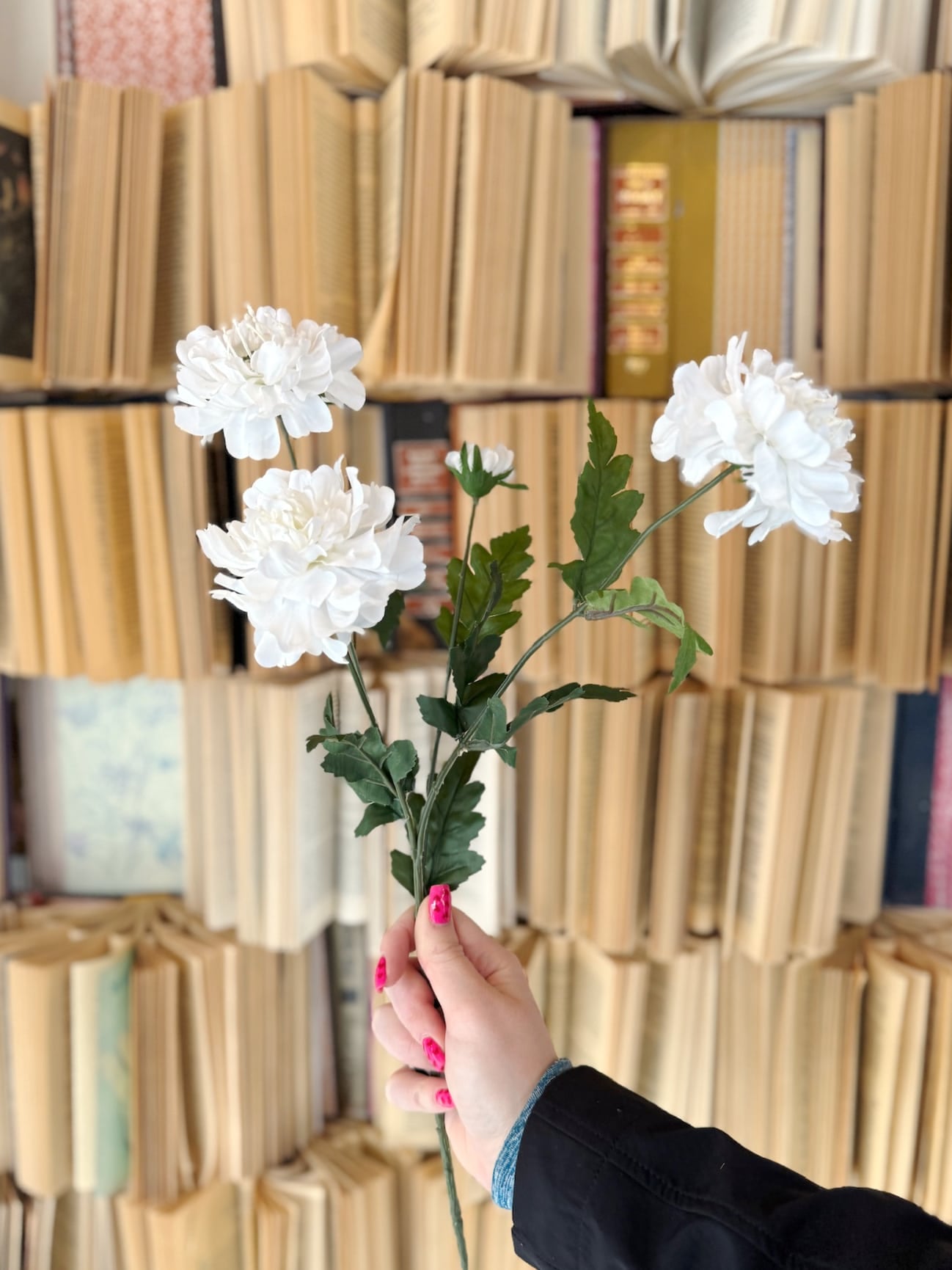 White Scabiosa Spray with layered white blooms and realistic green leaves held in hand against a vintage book backdrop.