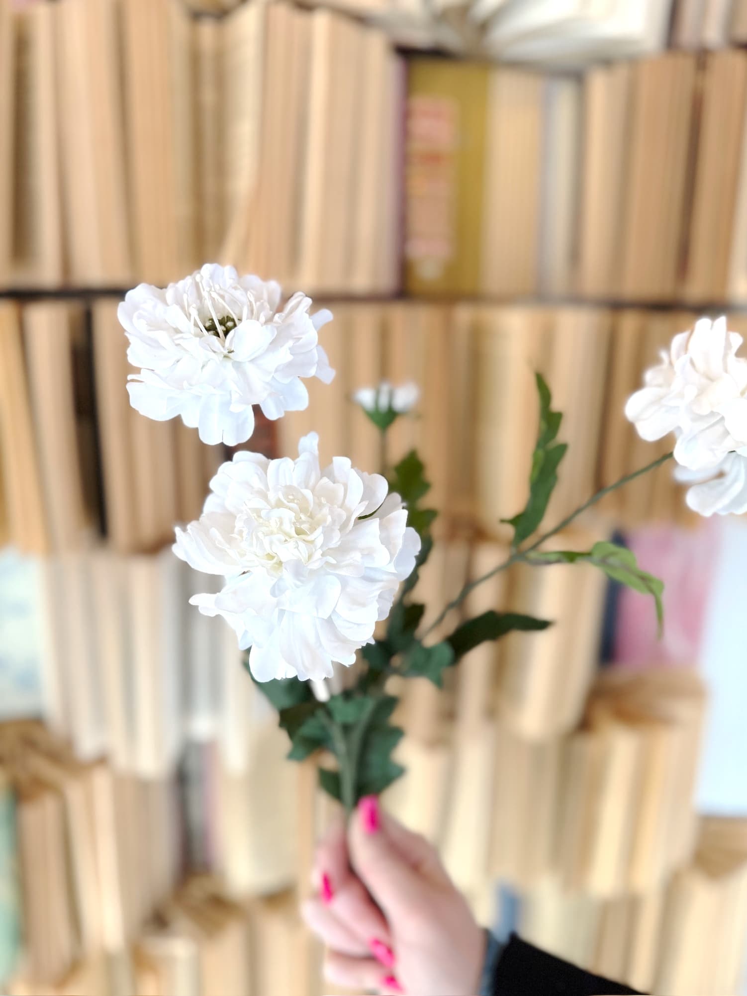 Hand holding a White Scabiosa Spray featuring lifelike white blooms and wired stems for easy arranging.