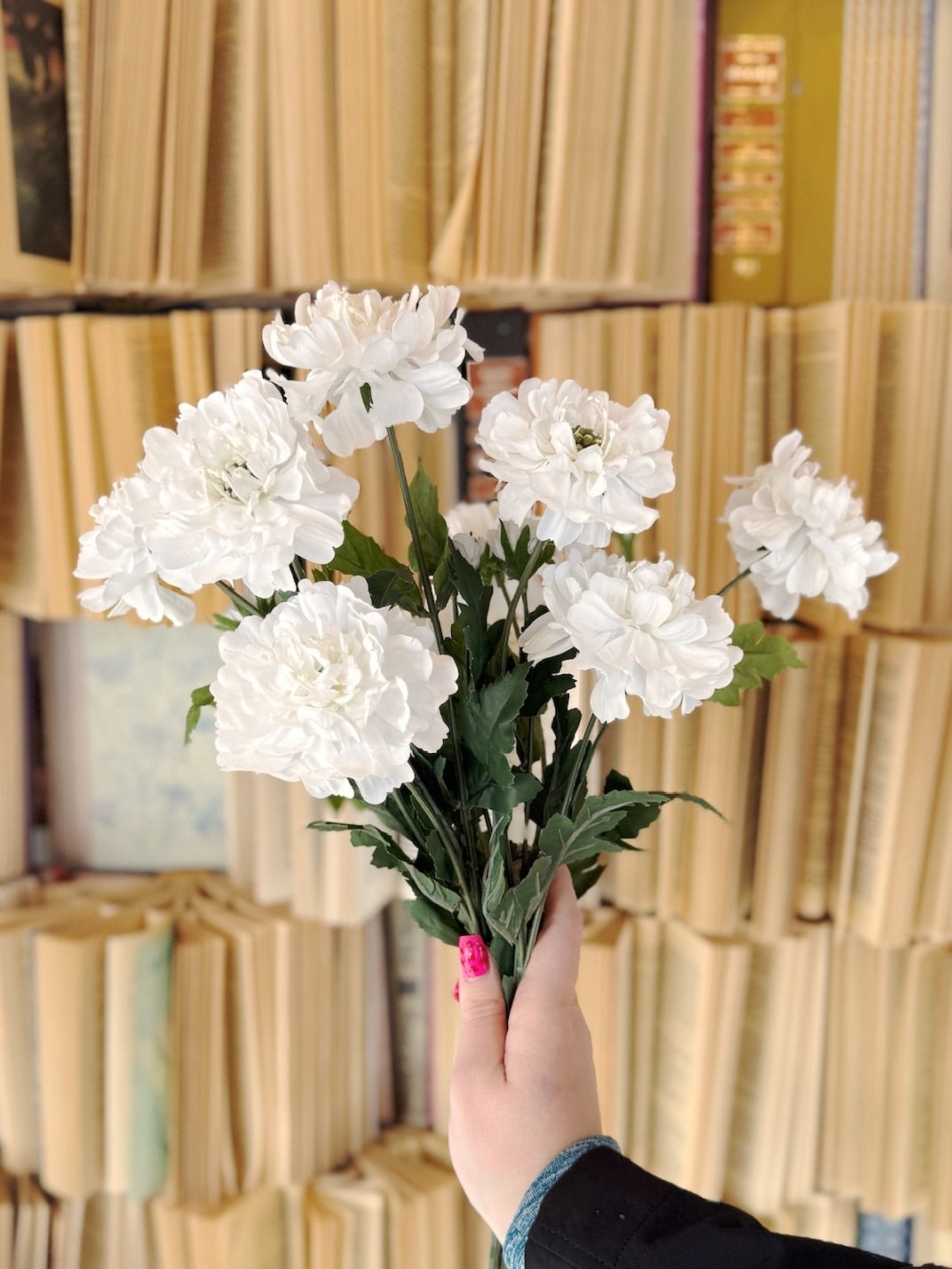 be-made-hays-ks-white-scabiosa-spray-stem-bundle-neutral-florals Hand holding a full bundle of White Scabiosa Sprays featuring lifelike white blooms for a lush floral display.