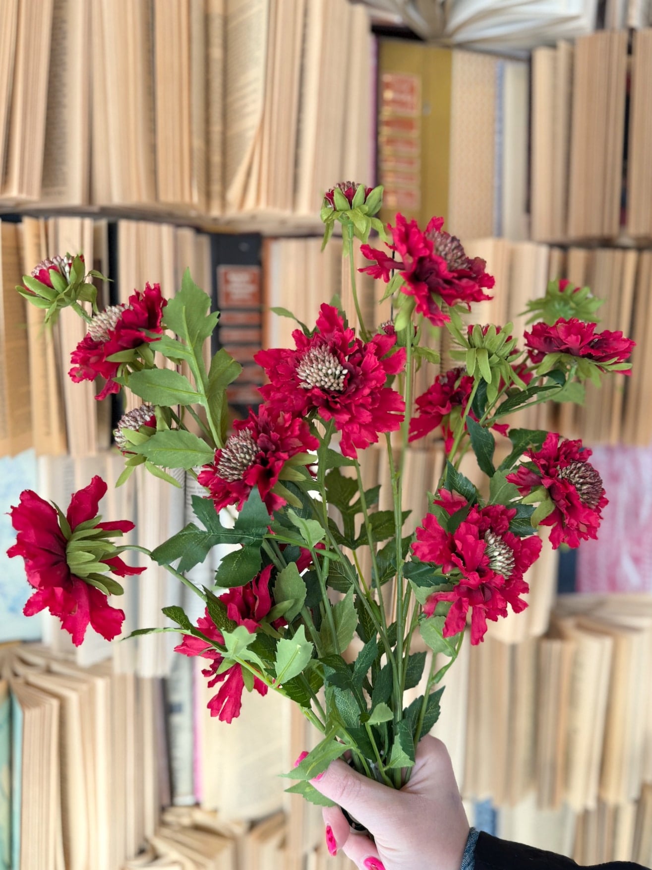Bundle of red scabiosa sprays creating a full floral arrangement with realistic green leaves.