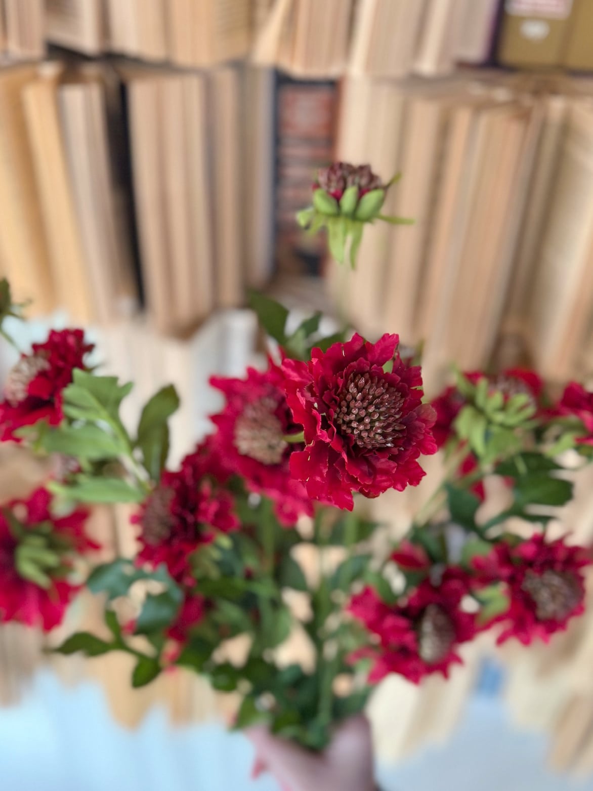 Close-up of faux red scabiosa blooms with textured centers and layered petals against soft greenery.