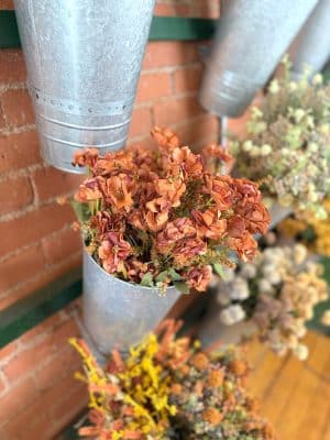 Burnt Orange Wildflower Bush styled in galvanized wall bucket with other fall stems