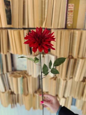 Hand holding a lifelike Red Dahlia Spray featuring a bold layered bloom on a long stem for vase styling.