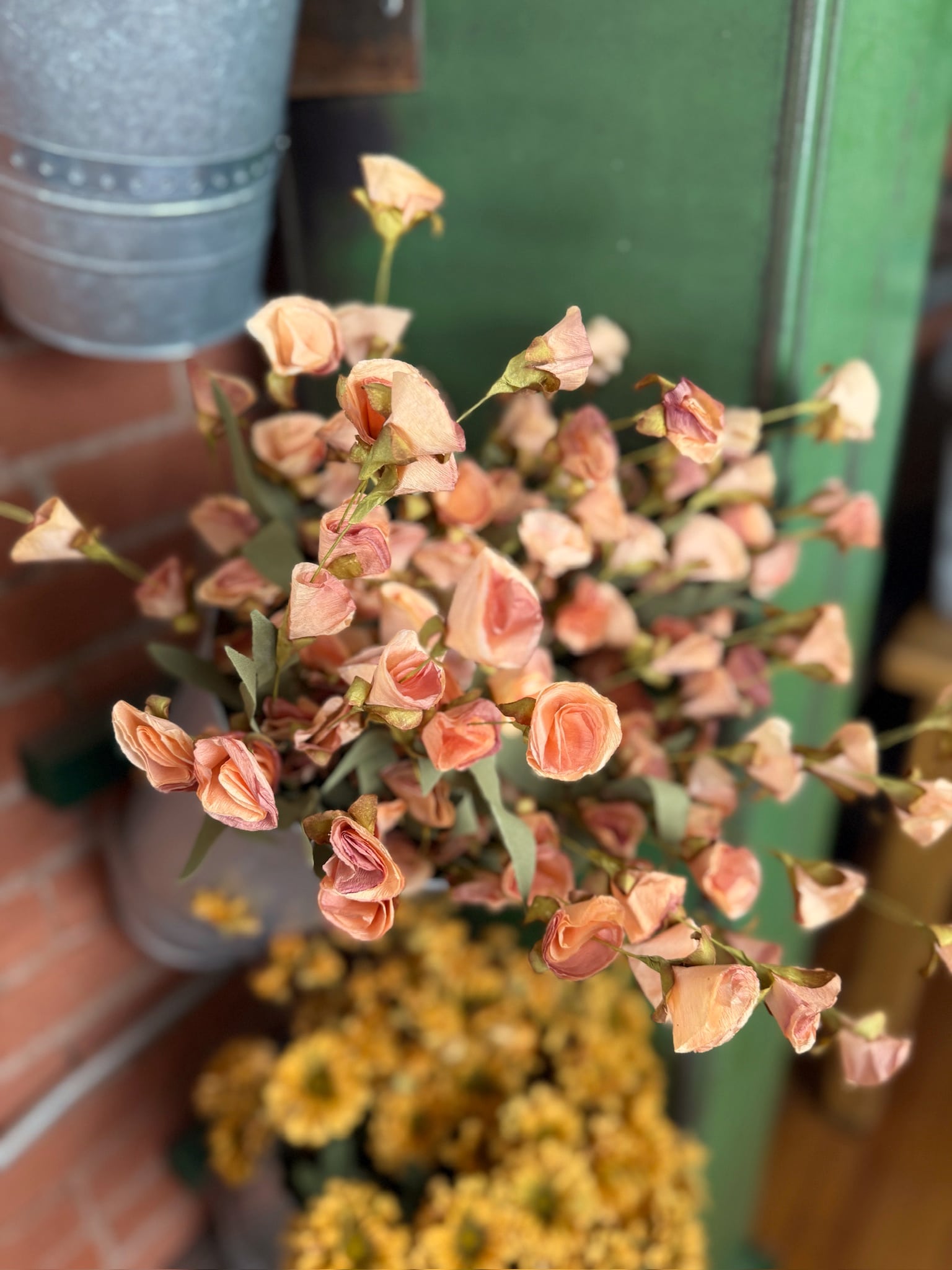 Close-up of Salmon Wildflower Bush with pink-toned buds and green leaves in a galvanized wall bucket