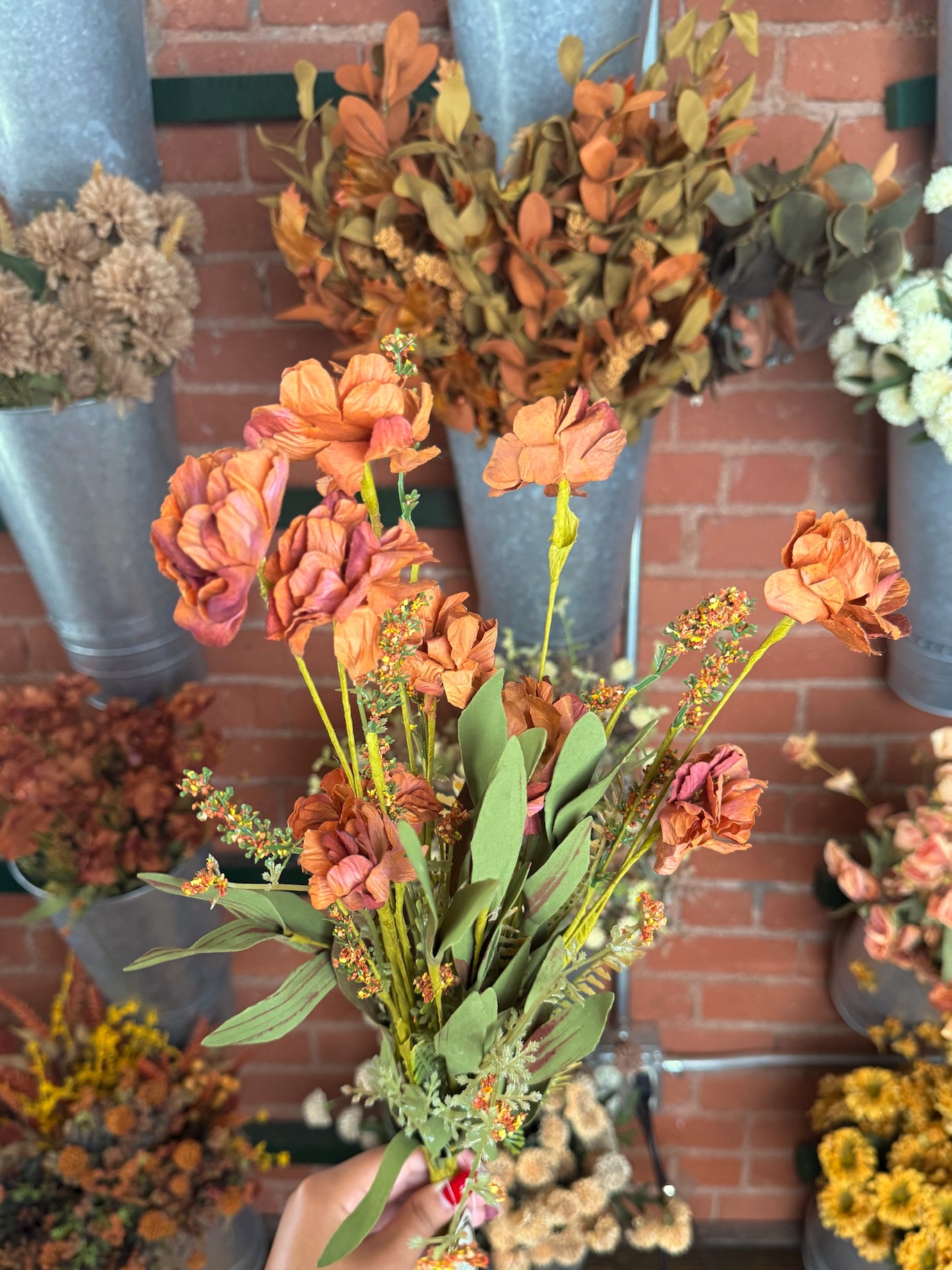 Burnt Orange Wildflower Bush with Tangerine Wild Mum Bush in front of brick wall