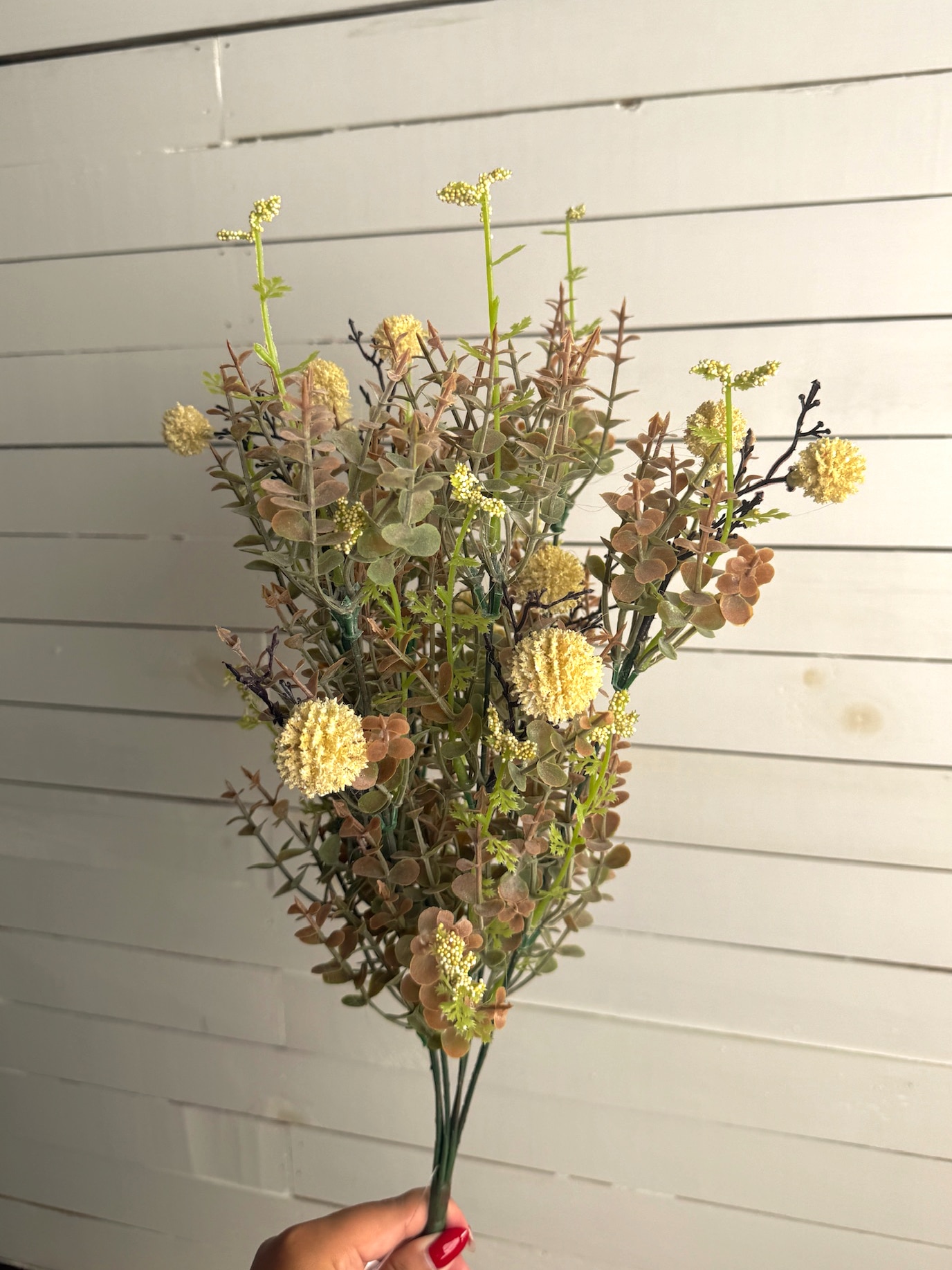 Pincushion floral stem in soft cream, brown, and green tones