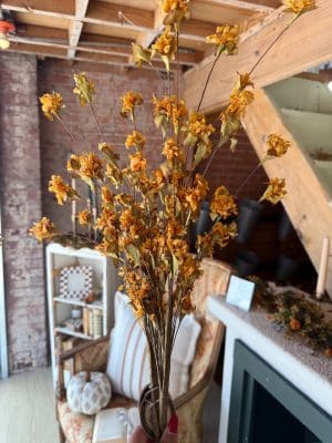 Hand holding the Tangerine Wild Mum Bush with bright orange blooms and green leaves, styled in a cozy, rustic interior setting.