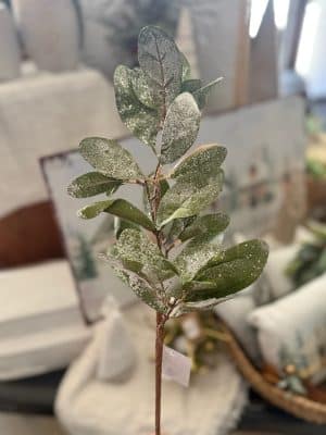 Frosted Lamb’s Ear Pick styled in a winter floral arrangement with muted green tones and frosted leaves.
