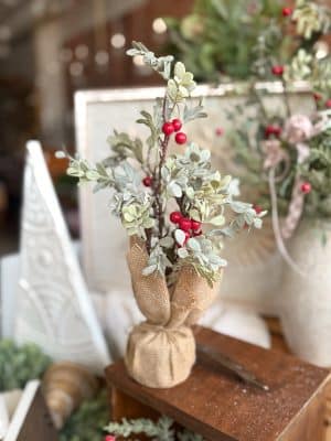 Small Eucalyptus and Berry Tree