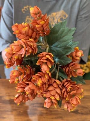 Close-up of Orange Hops Bush with warm orange blooms and soft green leaves.
