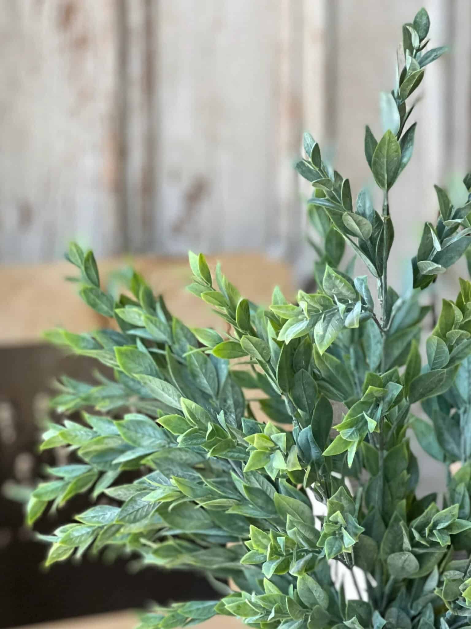 Close view of Powdered Lush Greenery Bush with layered leaves and powdered finish.