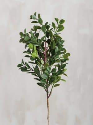 Full stem view of the Boxwood Floral Pick with layered green leaves and a natural-looking branch.