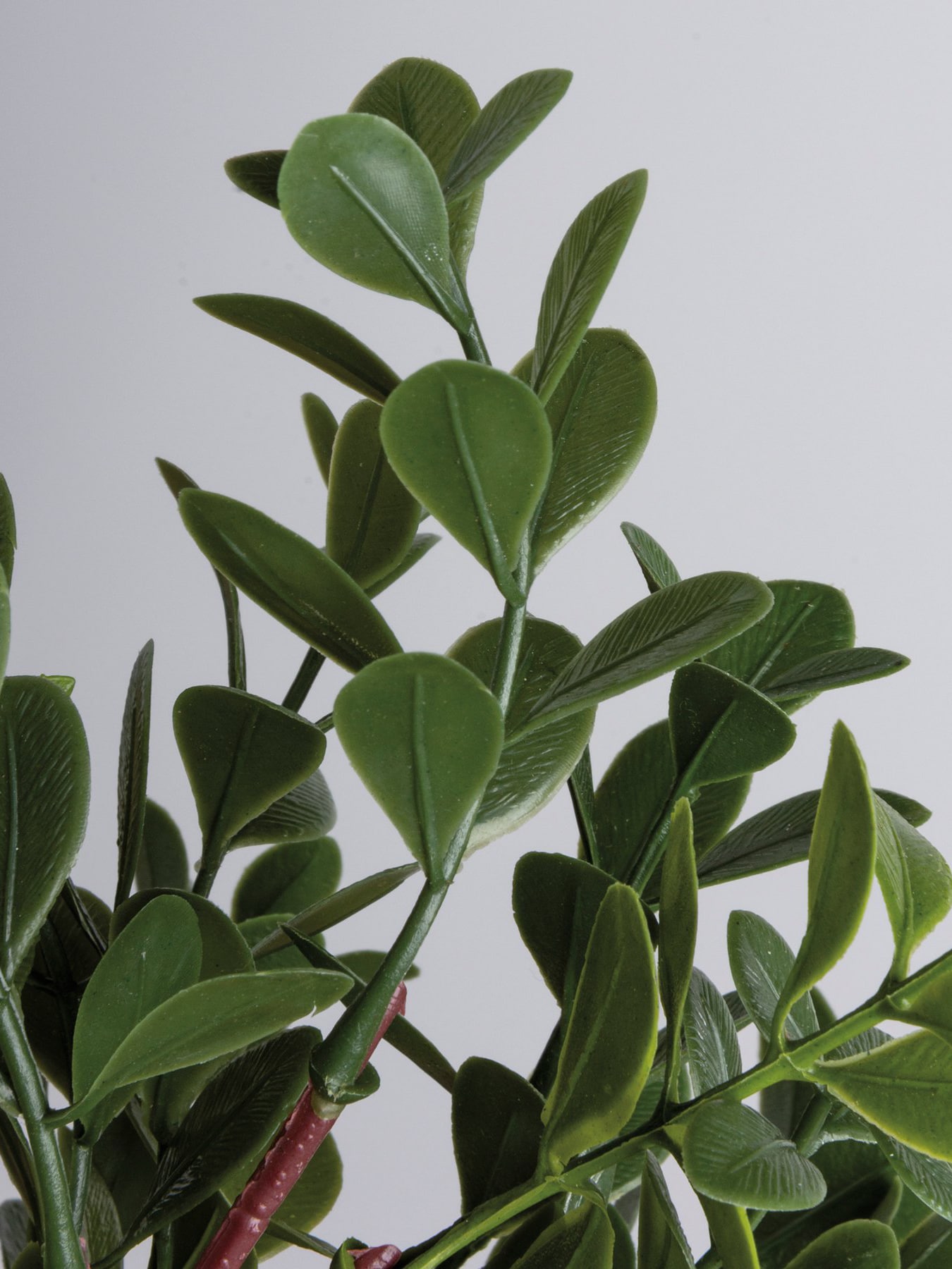 Close-up view of the Boxwood Floral Pick showcasing its realistic green leaves and natural texture.