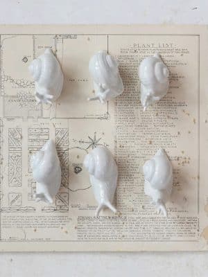 White ceramic mini snails arranged on vintage-style paper background