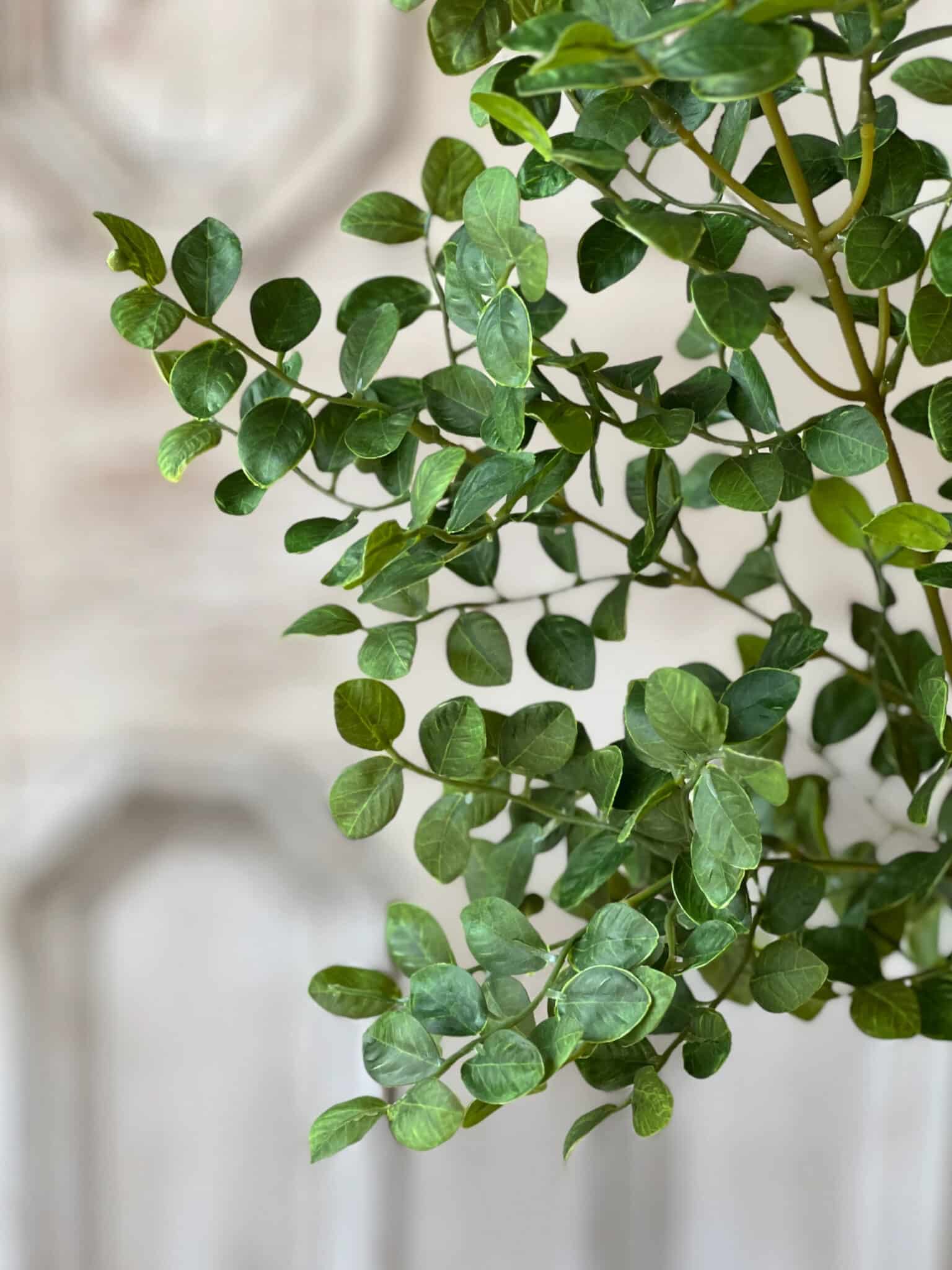 Close view of Wilder Leaf Greenery Bush showing layered fresh green leaves.