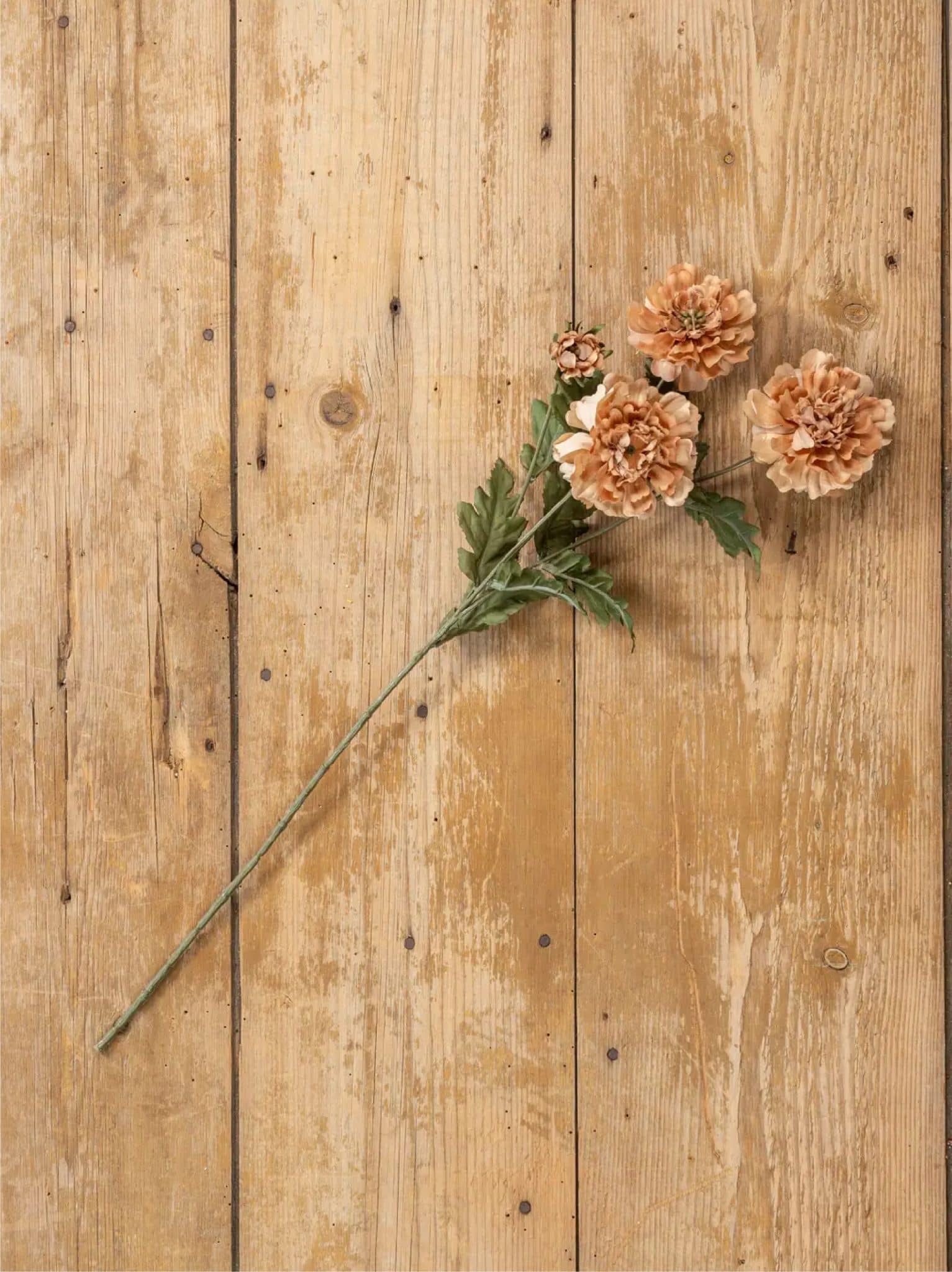 Spray Straw Scabiosa flat lay on wood