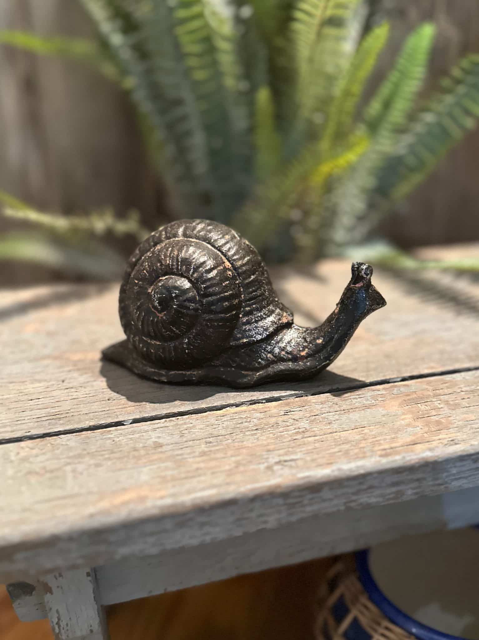 Cast Iron Snail side view on wood stool