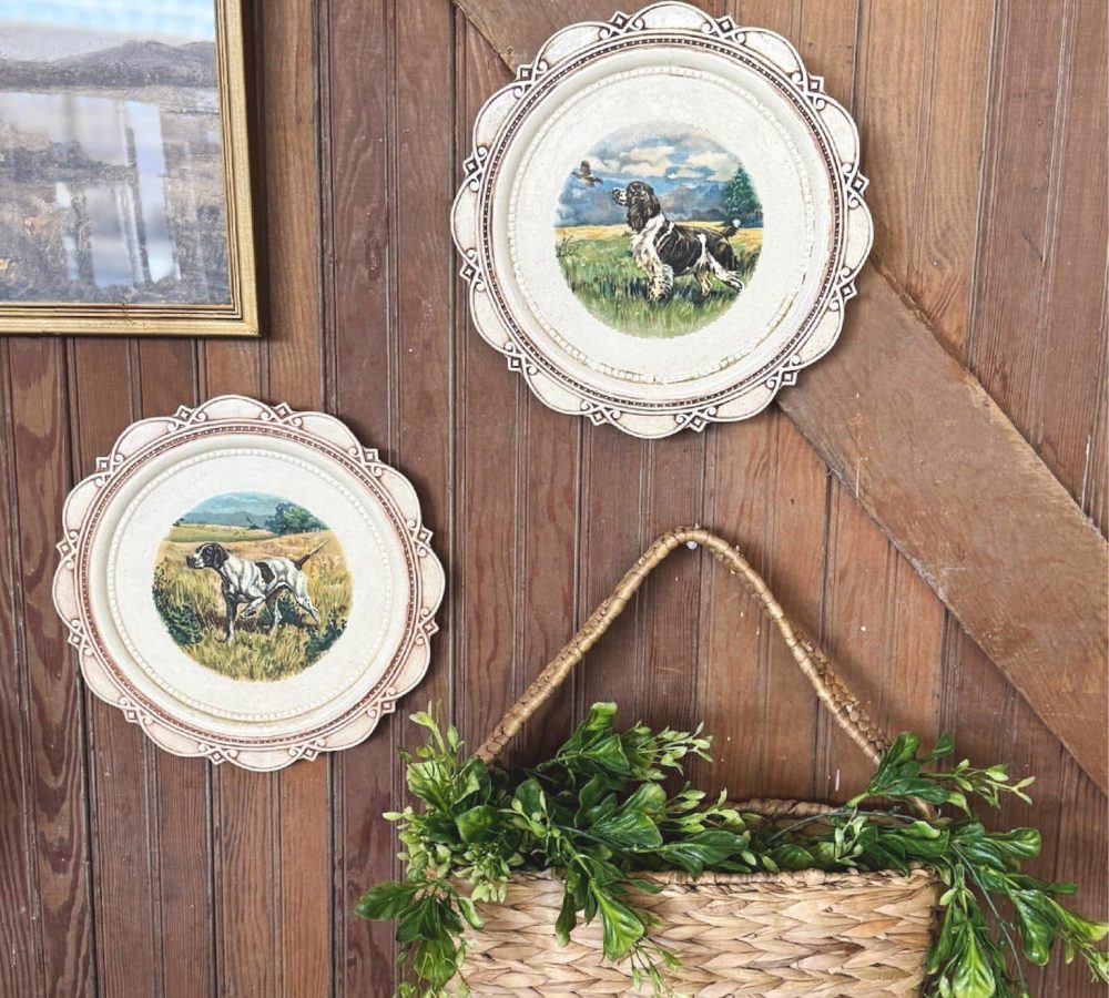 Hanging Basket below the collected dog plates on wood wall