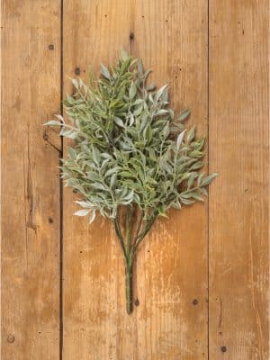Soft Green Tea Leaf Bush flat lay on wood
