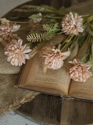 Tan Dahlia Bush close up detail shot on open book
