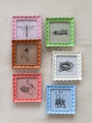 Set of colorful scalloped resin photo frames in pink, green, coral, blue, brown, and white displayed on a wall with botanical and nature sketches inside.
