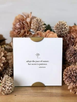 Nature's Secret Emerson Scallop Frame surrounded by floral