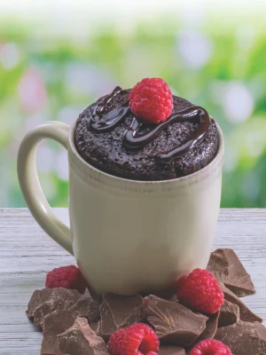 Be Made, Hays KS. Molly & You Single Microwave Mug Cakes Raspberry Chocolate Cheesecake Brownie