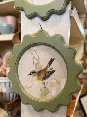 Upturned Wren vintage bird artwork set in a green scalloped frame with glass front, featuring soft natural hues.