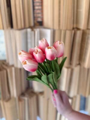 Bright Pink Tulip Bundle