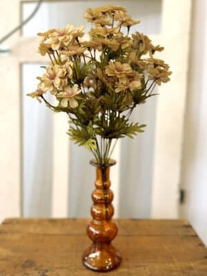 Courtland Cosmos Bush Flax Cream