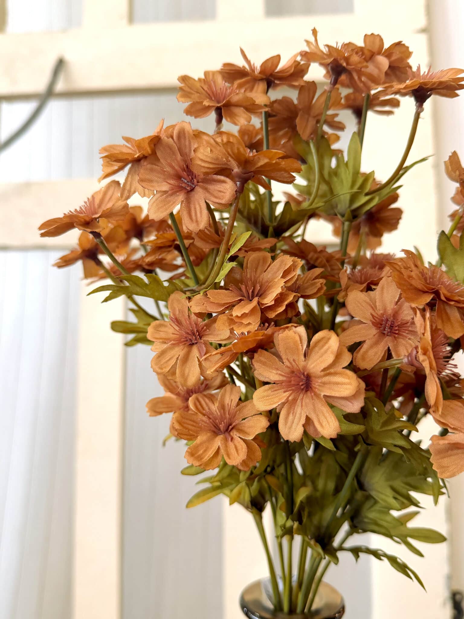 Courtland Cosmos Bush Spice Orange - Be Made
