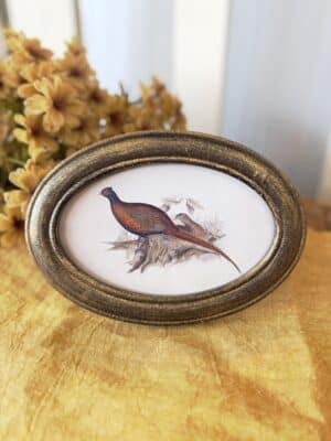 Oval Framed Art Pheasant