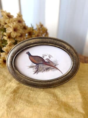Oval Framed Art Pheasant