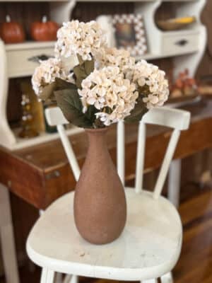 Cream Hydrangea Bush