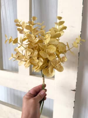 Beige Eucalyptus Bundle