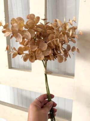 Brown Eucalyptus Bundle
