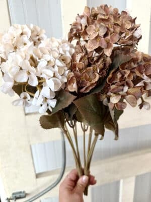 Brown Hydrangea Bush