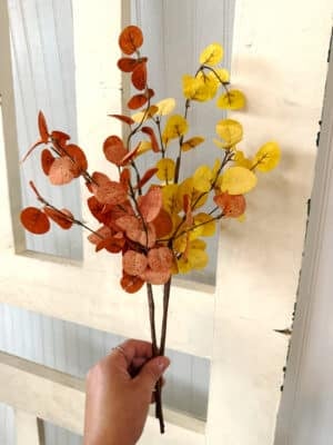 Burnt Orange Eucalyptus Penny Leaf Pick